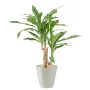 DRACENA artificiel (ou DRACAENA) stud 60 cm en pot