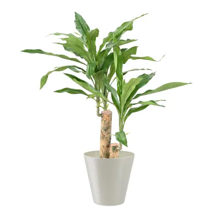 DRACENA artificiel (ou DRACAENA) stud 60 cm en pot