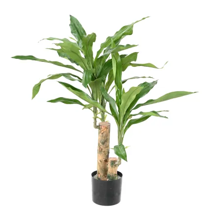 DRACENA Fragrans artificiel ou DRACAENA 60 cm