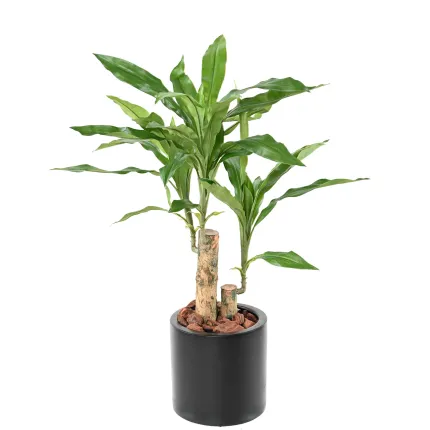DRACENA artificiel (ou DRACAENA) stud 60 cm en pot noir