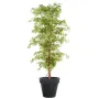 ERABLE artificiel DE LUXE (Aralia)  150 et 180 cm gold