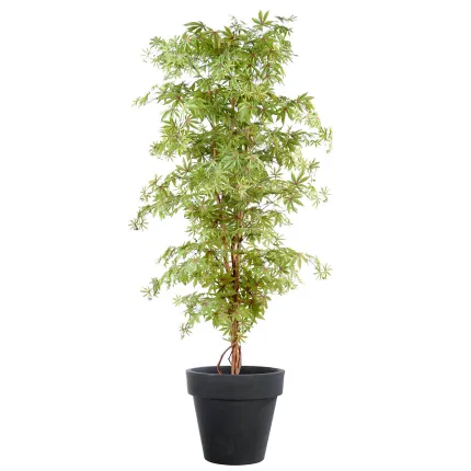 ERABLE artificiel DE LUXE (Aralia)  150 et 180 cm gold