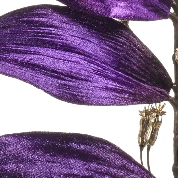 branche de SCEAU DE SALOMON artificielle 75 cm violet - détail