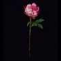 PIVOINE artificielle fushia 56 cm en tige