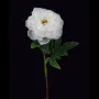 PIVOINE artificielle blanche 56 cm
