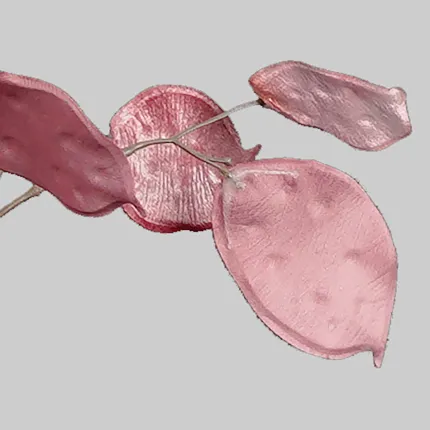 BRANCHE MONNAIE DU PAPE artificielle velours 105 cm - graines