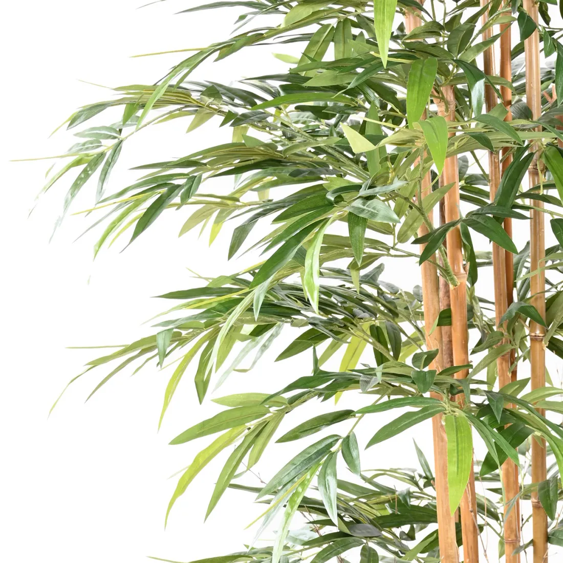 Plante Artificielle Bambou – Vert – 80 Cm De Haut – Deko – Pour Intérieur