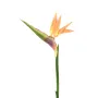 STRELITZIA ARTIFICIEL 80 cm