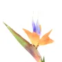 tête STRELITZIA ARTIFICIEL 80 cm - de profil