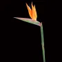 STRELITZIA ARTIFICIEL 89 cm sur fond noir
