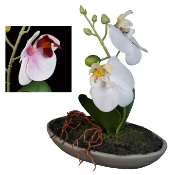 composition ORCHIDEE artificielle 18 cm