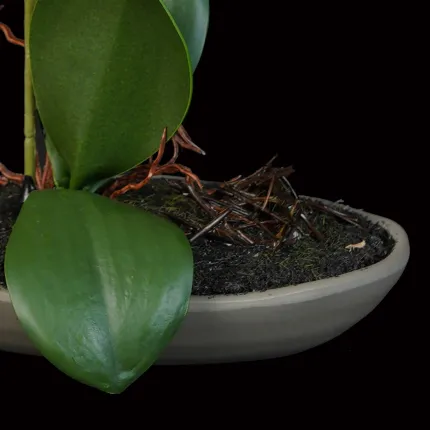 composition ORCHIDEE artificielle 18 cm - coupelle