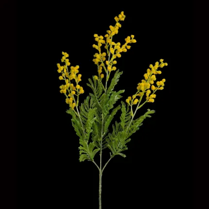 Branche MIMOSA artificielle 70 cm sur fond