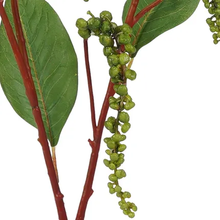 Branche de BAIES KERMES artificielle 77 cm - détails baies