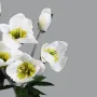 Hellebore artificielle en botte 39 cm - détail fleur