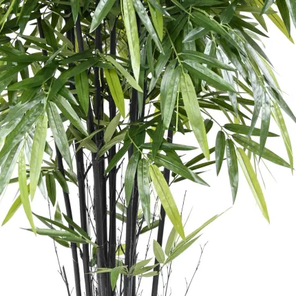 BAMBOU artificiel BLACK NATURAL 150 à 270 cm - cannes