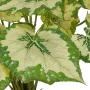BEGONIA ANGEL artificiel vert/crème 40 cm - détails feuilles