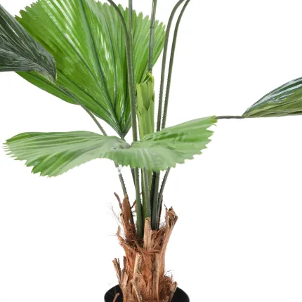 LICUALA GRANDIS artificiel  120 cm - tronc