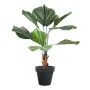 LICUALA GRANDIS artificiel  120 cm - en pot