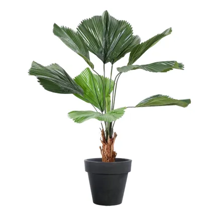 LICUALA GRANDIS artificiel  120 cm - en pot