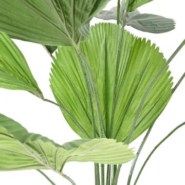 LICUALA GRANDIS artificiel  200 cm