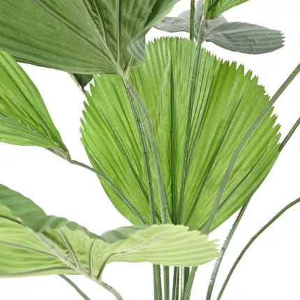 LICUALA GRANDIS artificiel  200 cm