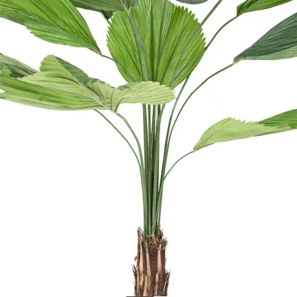 LICUALA GRANDIS artificiel  200 cm - tronc