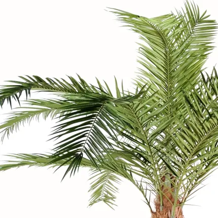 palmier PHOENIX artificiel CANARIENSIS  350 et 420 cm - palmes