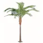 palmier PHOENIX artificiel CANARIENSIS  350 et 420 cm