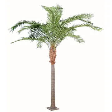palmier PHOENIX artificiel CANARIENSIS  350 et 420 cm
