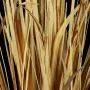 feuilles FAGOT roseau des sables artificielle 62 cm aspect sec