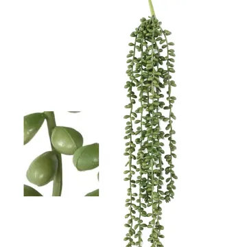 CRASSULA KLEINIA artificiel (collier de perle) 60 cm - et détails
