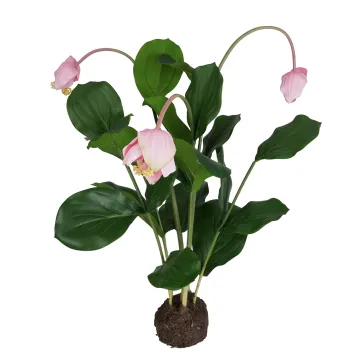 MEDINILLA artificiel 45 cm sur motte