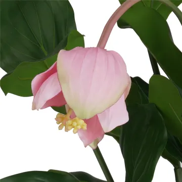 MEDINILLA artificiel 45 cm sur motte - fleur détails
