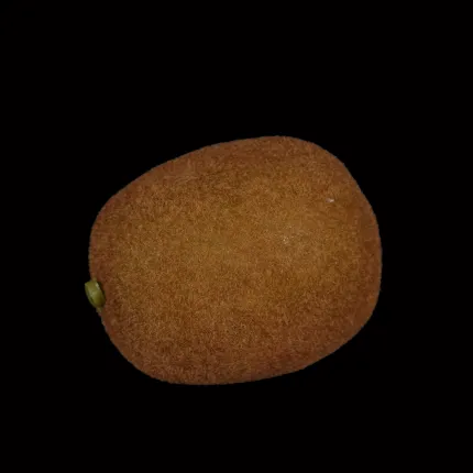 KIWI artificiel 7,5 cm - de dos