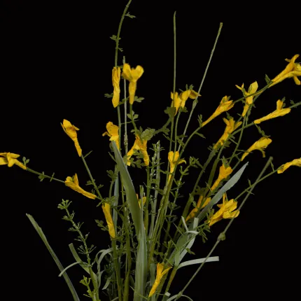 fleurs esprit GENÊT artificiel 62 cm - détails fleurs