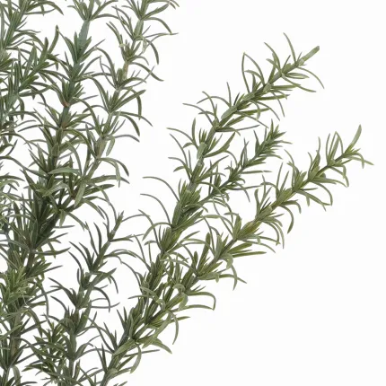 ROMARIN artificiel 60 cm - pointe