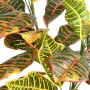 CROTON artificiel 70 cm - détails feuilles