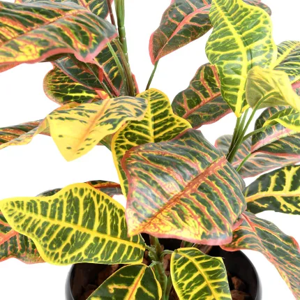 CROTON artificiel 70 cm - détails couleurs