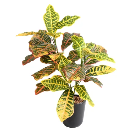 CROTON artificiel 70 cm