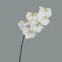 Orchidée PHALAENOPSIS artificielle blanche 78 cm