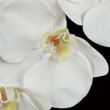 Orchidée PHALAENOPSIS artificielle blanche 78 cm - détails