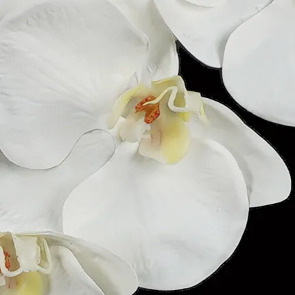 Orchidée PHALAENOPSIS artificielle blanche 78 cm - détails