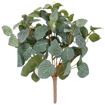 plante FITTONIA artificiel 40 cm