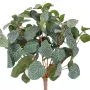 plante FITTONIA artificiel 40 cm