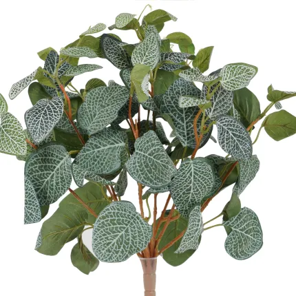 plante FITTONIA artificiel 40 cm