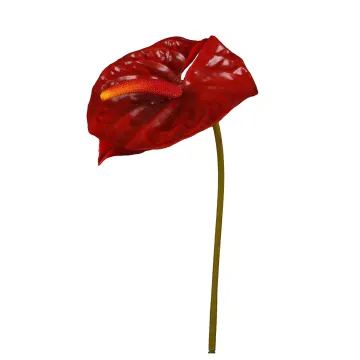 ANTHURIUM artificiel rouge 69 cm