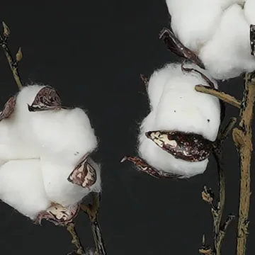 Fleurs de coton artificielles 96 cm - gros plan