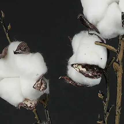 Fleurs de coton artificielles 96 cm - gros plan