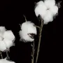 Fleurs de coton artificielles 96 cm - détails
